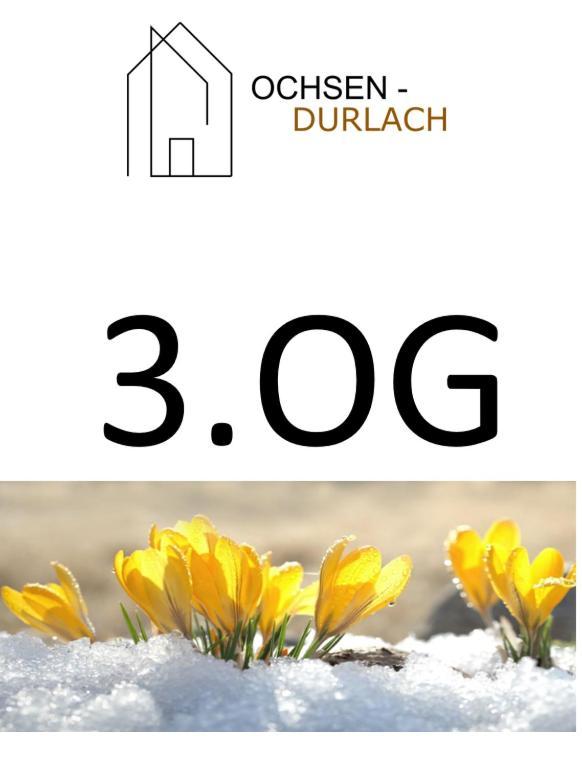Ochsen-Durlach Karlsruhe Pokój zdjęcie